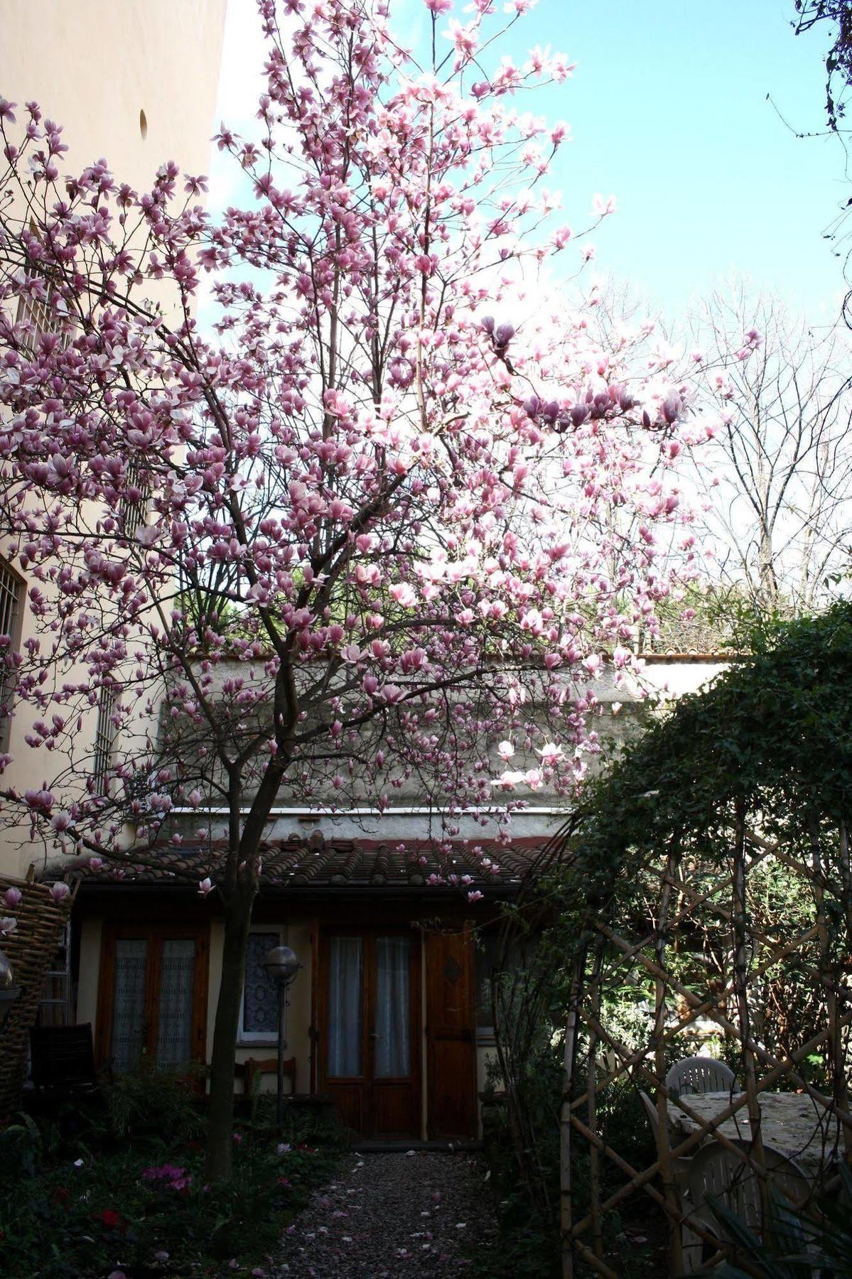 Affittacamere Casa Corsi Floransa Dış mekan fotoğraf